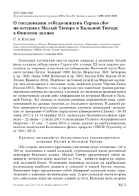 О гнездовании лебедя-шипуна Cygnus olor на островах Малый Тютерс и Большой Тютерс в Финском заливе