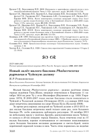 Новый залёт малого баклана Phalacrocorax pygmaeus в Чуйскую долину