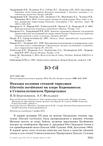 Находка колонии степной тиркушки Glareola nordmanni на озере Кереванколь в Семипалатинском Прииртышье