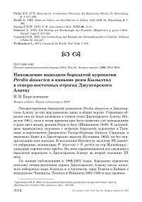 Нахождение выводков бородатой куропатки Perdix dauurica в каньоне реки Кызылтал в северо-восточных отрогах Джунгарского Алатау