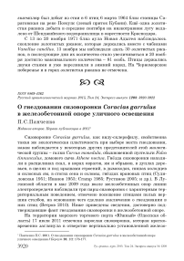 О гнездовании сизоворонки Coracias garrulus в железобетонной опоре уличного освещения