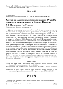 Случай гнездования лесной завирушки Prunella modularis в папоротнике в Южной Карелии