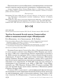 Залёты большой белой цапли Casmerodius albus в национальный парк «Мещёрский»