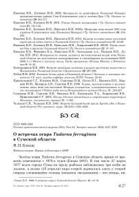 О встречах огаря Tadorna ferruginea в Сумской области
