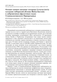 Осенне-зимнее питание тетерева Lyrurus tetrix плодами сибирской яблони Malus baccata в заброшенных фруктовых садах Семипалатинского Прииртышья