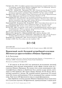 Вероятный залёт большой ястребиной кукушки Hierococcyx sparverioides в Южное Приморье