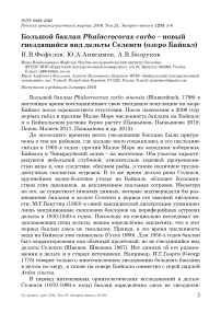 Большой баклан Phalacrocorax carbo - новый гнездящийся вид дельты Селенги (озеро Байкал)