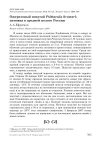 Ожереловый попугай Psittacula krameri: зимовка в средней полосе России