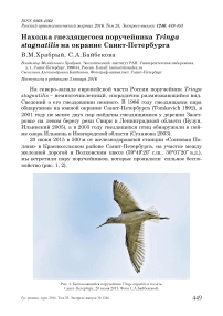 Находка гнездящегося поручейника Tringa stagnatilis на окраине Санкт-Петербурга