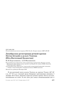 Декабрьская регистрация речной крачки Sterna hirundo в дельте Тентека (Юго-Восточный Казахстан)