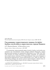 Гнездование туркестанского тювика Accipiter badius cenchroides в окрестностях города Бишкек