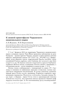 К зимней орнитофауне Чарынского национального парка