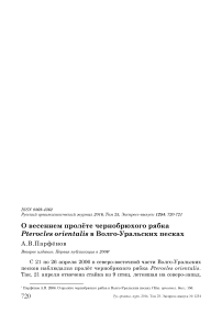 О весеннем пролёте чернобрюхого рябка Pterocles orientalis в Волго-Уральских песках