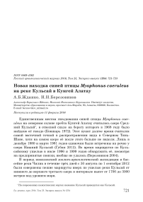 Новая находка синей птицы Myophonus caeruleus на реке Кульсай в Кунгей Алатау