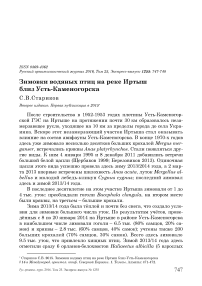 Зимовки водяных птиц на реке Иртыш близ Усть-Каменогорска