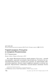 Серый журавль Grus grus в Северном Подмосковье