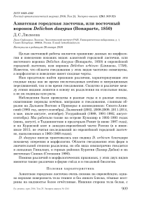 Азиатская городская ласточка, или восточный воронок Delichon dasypus (Bonaparte, 1850)