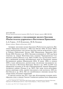 Новые данные о гнездовании малого баклана Phalacrocorax pygmaeus в Восточном Приазовье