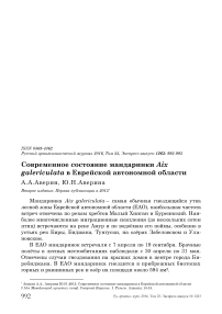 Современное состояние мандаринки Aix galericulata в Еврейской автономной области