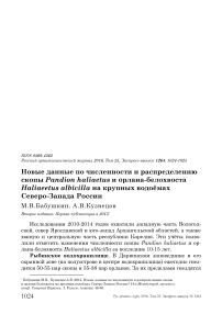 Новые данные по численности и распределению скопы Pandion haliaetus и орлана-белохвоста Haliaeetus albicilla на крупных водоёмах северо-запада России