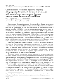 Особенности осеннего пролёта горлиц Streptopelia decaocto, S. turtur, S. orientalis и S. senegalensis на перевале Чокпак в предгорьях Западного Тянь-Шаня