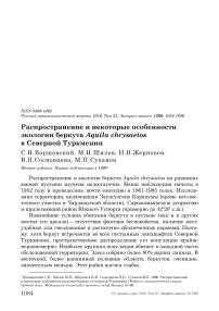 Распространение и некоторые особенности экологии беркута Aquila chrysaetos в Северной Туркмении