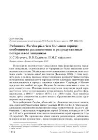 Рябинник Turdus pilaris в большом городе: особенности размножения и репродуктивные потери из-за хищников