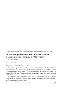 Зимняя встреча серой цапли Ardea cinerea в окрестностях Гатчины в 2015/16 году