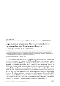 Горихвостка-чернушка Phoenicurus ochruros - гнездящийся вид Кировской области