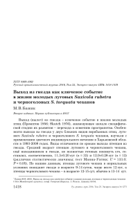 Выход из гнезда как ключевое событие в жизни молодых луговых Saxicola rubetra и черноголовых S. torquata чеканов