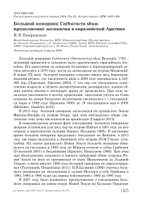 Большой поморник Catharacta skua: продолжение экспансии в евразийской Арктике