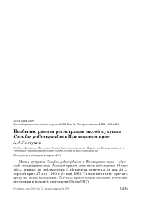 Необычно ранняя регистрация малой кукушки Cuculus poliocephalus в Приморском крае