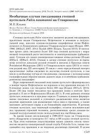 Необычные случаи гнездования степной пустельги Falco naumanni на Ставрополье