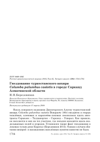 Гнездование туркестанского вяхиря Columba palumbus casiotis в городе Сарканд Алматинской области