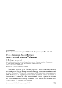 Гусеобразные Anseriformes окрестностей города Тайынша