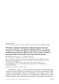 Осенне-зимнее питание серых ворон Corvus cornix и сизых голубей Columba livia плодами сибирских яблонь Malus baccata в населённых пунктах Восточно-Казахстанской области