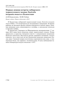 Первая зимняя встреча сибирского черноголового чекана Saxicola torquata maura в Казахстане