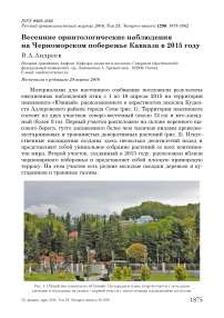 Весенние орнитологические наблюдения на Черноморском побережье Кавказа в 2015 году