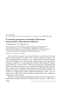 О залётах розового пеликана Pelecanus onocrotalus в Псковскую область