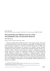 Большой баклан Phalacrocorax carbo - гнездящийся вид Луганской области