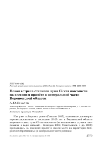 Новая встреча степного луня Circus macrourus на весеннем пролёте в центральной части Воронежской области