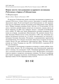 Новое место гнездования кудрявого пеликана Pelecanus crispus в Узбекистане