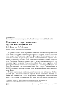 О заходах в тундру животных других ландшафтных зон