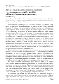 Интересный факт из гнездовой жизни тетеревятника Accipiter gentilis в Нижне-Свирском заповеднике