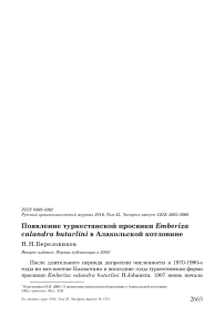 Появление туркестанской просянки Emberiza calandra buturlini в Алакольской котловине