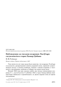 Наблюдения за гнездом кедровки Nucifraga caryocatactes в горах Хамар-Дабана