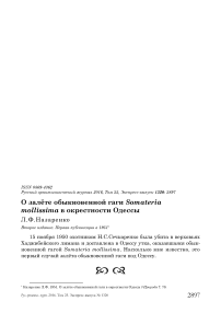 О залёте обыкновенной гаги Somateria mollissima в окрестности Одессы