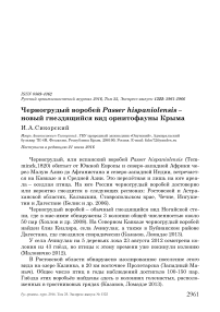 Черногрудый воробей Passer hispaniolensis - новый гнездящийся вид орнитофауны Крыма