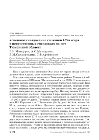 Успешное гнездование сплюшки Otus scops в искусственных гнездовьях на юге Тюменской области