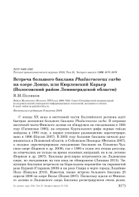 Встреча большого баклана Phalacrocorax carbo на озере Донцо, или Кюрлевский карьер (Волосовский район Ленинградской области)